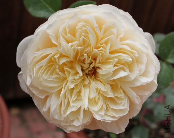 ��Ƭ 057.jpg