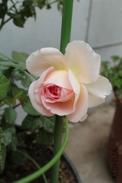 ��Ƭ 064.jpg