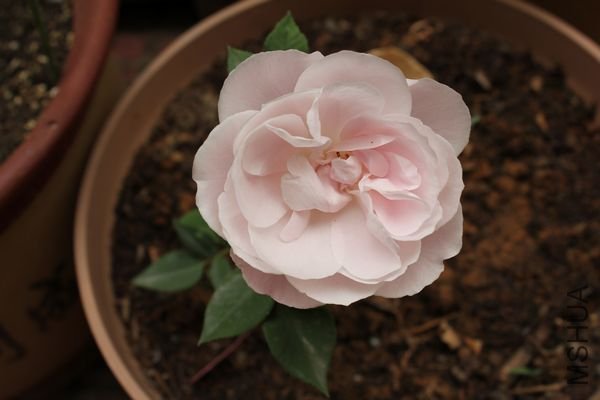 ��Ƭ 053.jpg