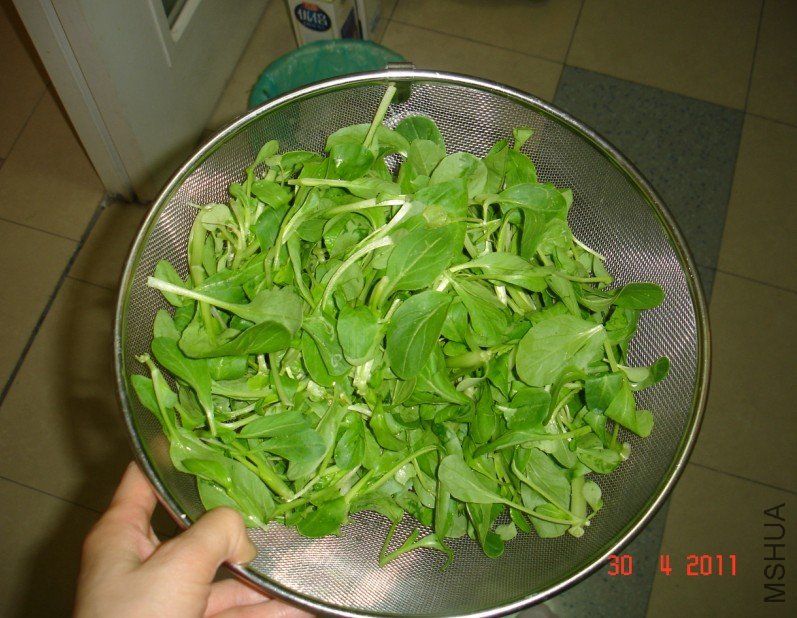 ��ë��27�� 20110430 2.jpg