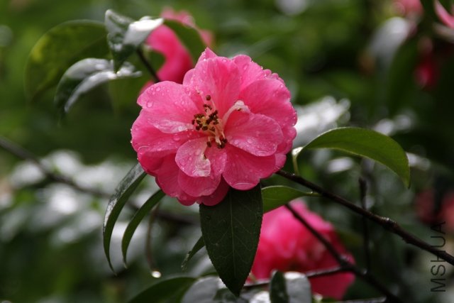 2011.04.30.�軨���辰չ 016.jpg