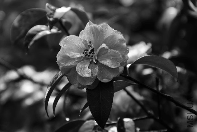 2011.04.30.�軨���辰չ 020.jpg