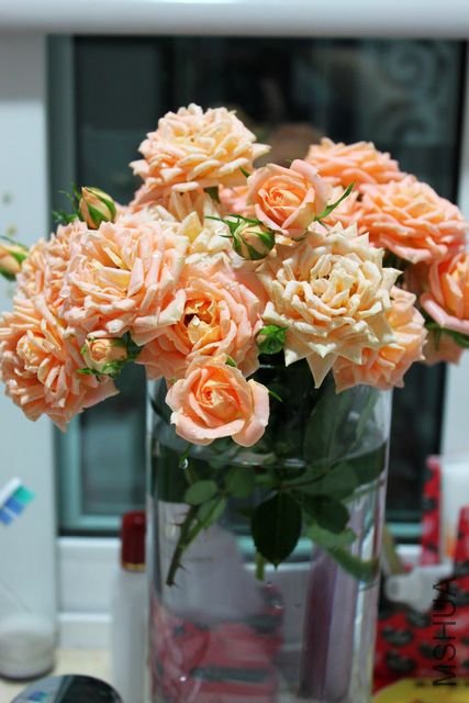 ��ת ��ת IMG_1528.JPG