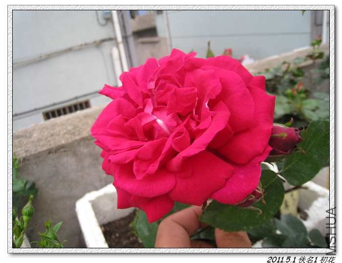 2011.5.1 1.jpg