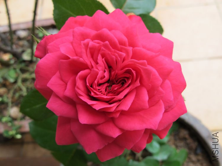 ���13.jpg