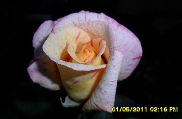 (U5G`({2NT)E_ELNGNL~8JS.jpg