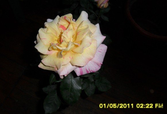 66}_YRRA3}(W97GA84L~QWA.jpg