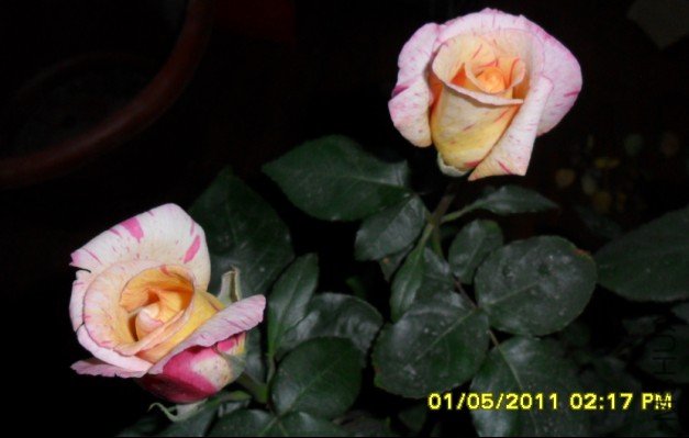 G}9ENUP7V6)%~RQADY3~2JK.jpg