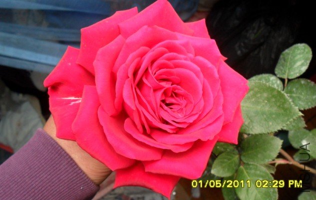 RL]U092[8RJTFBQ`BW2)HDA.jpg