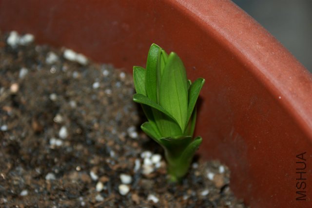 DSC06555.jpg