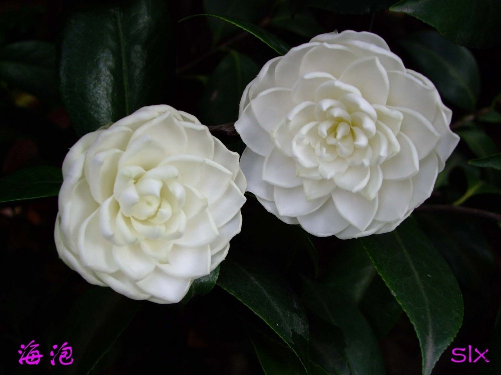 ����11-5-1f (3).jpg