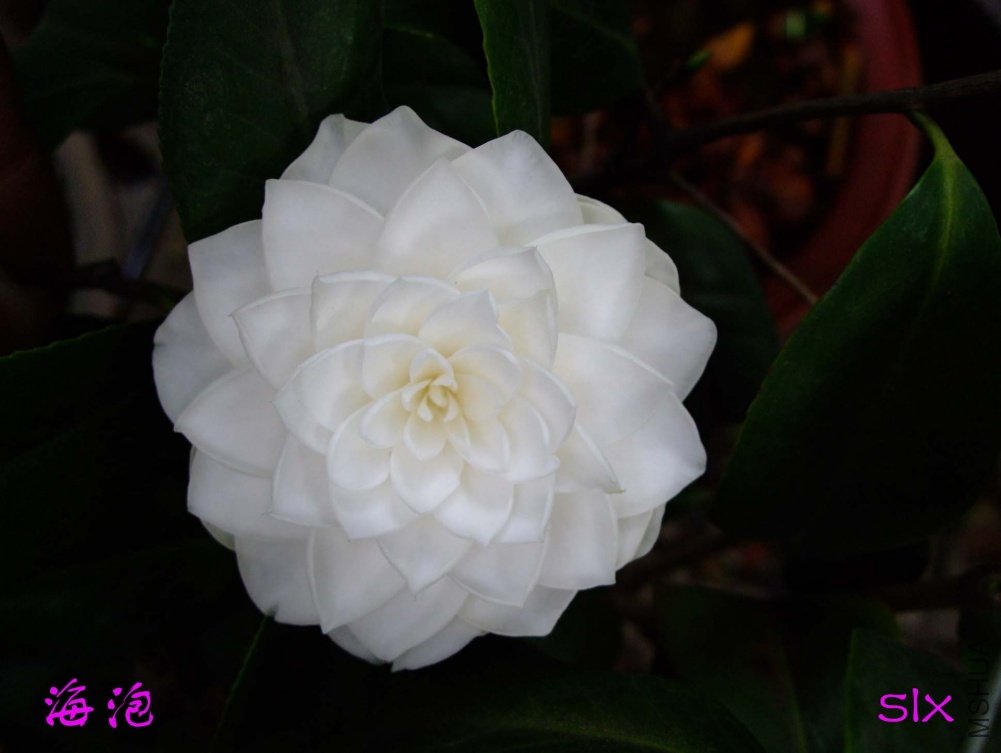 ����11-5-1f (2).jpg