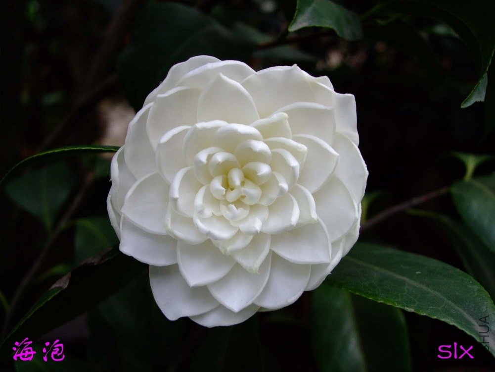 ����11-5-1f (5).jpg