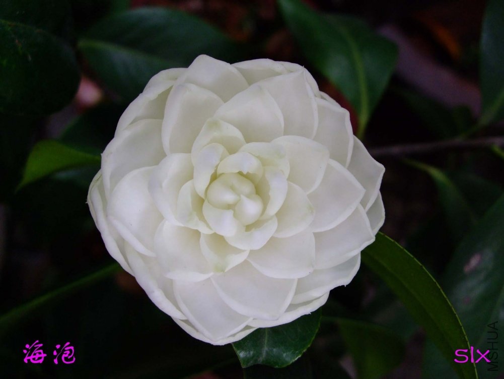 ����11-5-1f (1).jpg