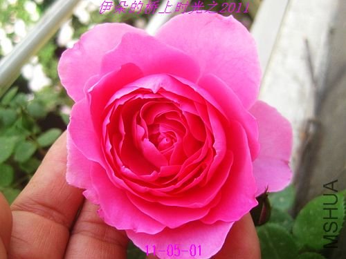 nEO_IMG_��Ƭ 234.jpg