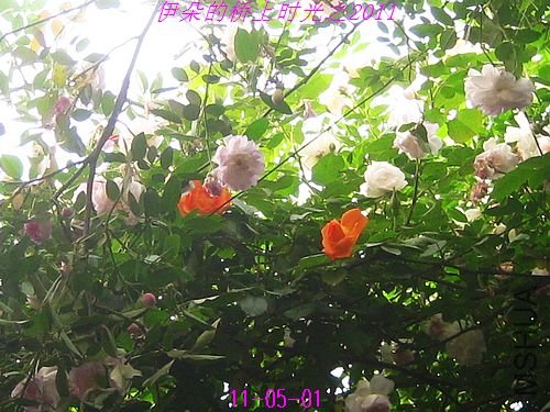 nEO_IMG_��Ƭ 222.jpg