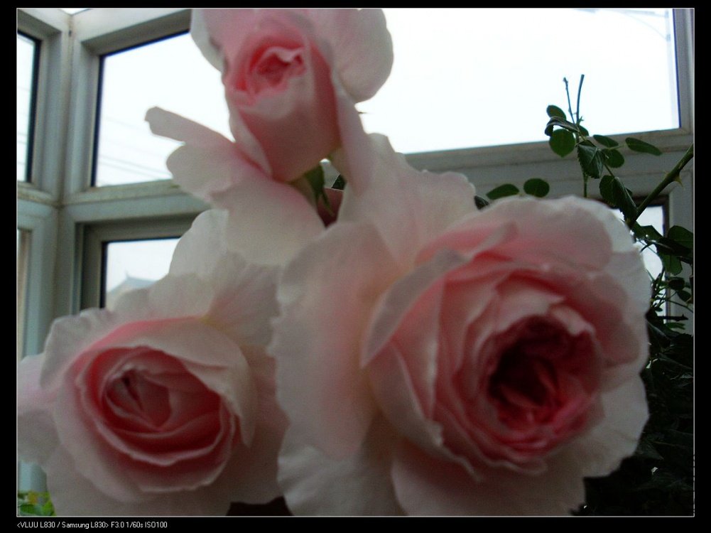nEO_IMG_SL382685.jpg