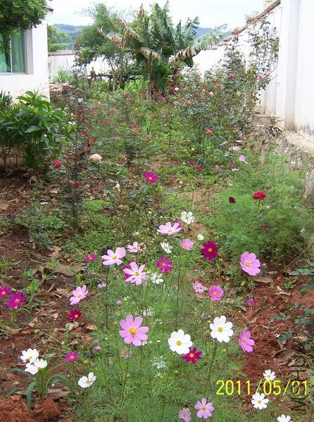 20110501 007.jpg
