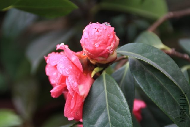 2011.04.30.�軨���辰չ 100.jpg