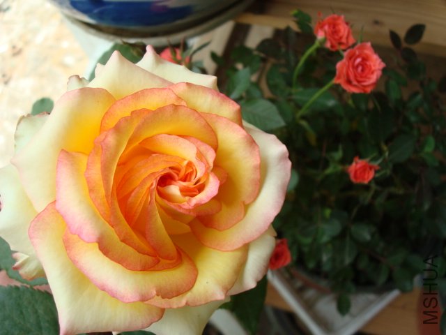 DSC01683.JPG