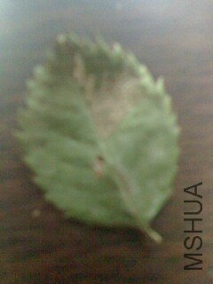 IMG0502075901.jpg