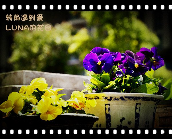 _DSC0528_����.jpg