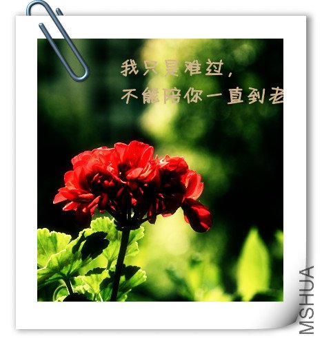 _DSC0530_����.jpg