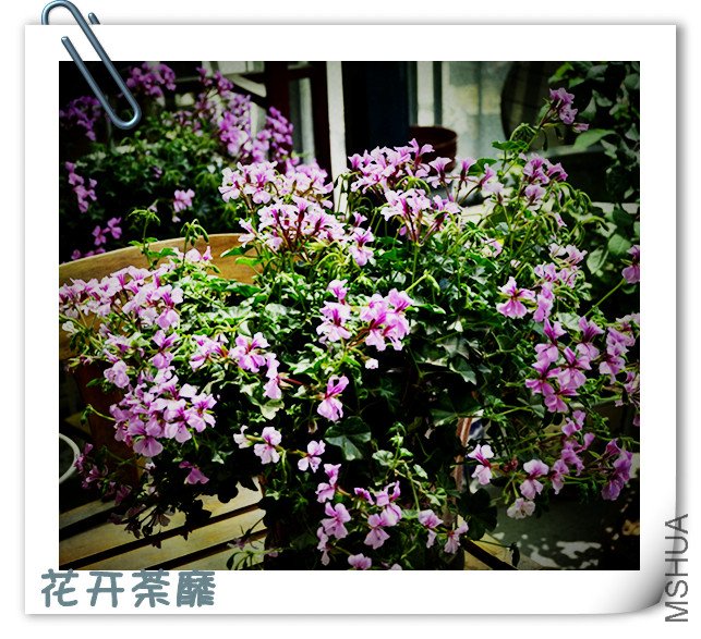 _DSC0540_����.jpg