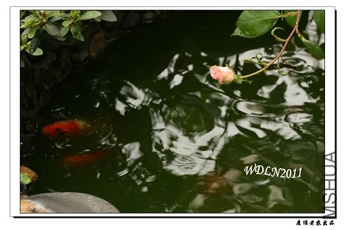 �����Ľ���Ҳ��������������