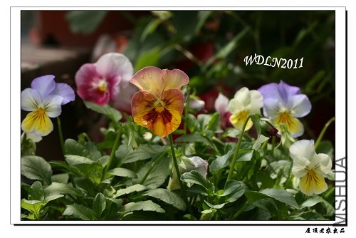 ������Զ���ҵ��