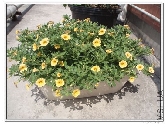 nEO_IMG_��26.jpg