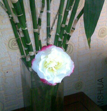 (JZ1T@`{D}@YLMWZWPFRFUI.jpg