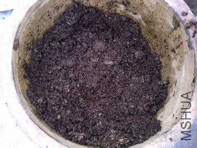 20110502509.jpg