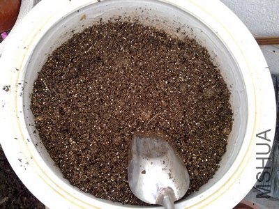 20110502508.jpg