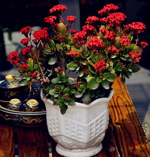 _DSC0392_����.jpg