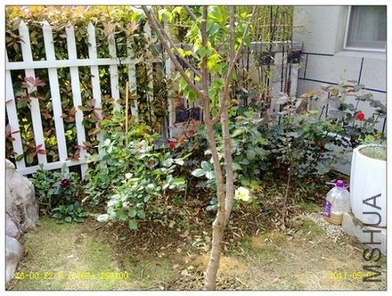 201105011214.jpg