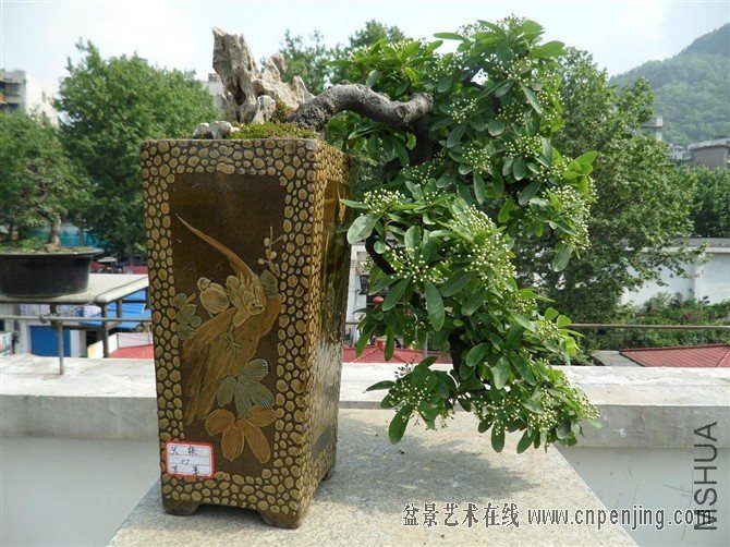 193254cdrvqrhv02dr6vjq[1].jpg