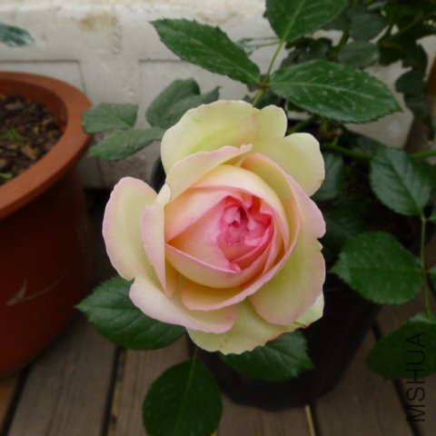 P1030214.JPG