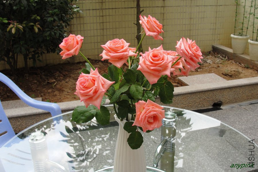 DSC07020-1.jpg