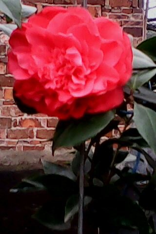 IMG0318A.jpg