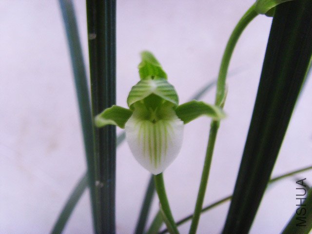 20101216201550_7487202b.jpg