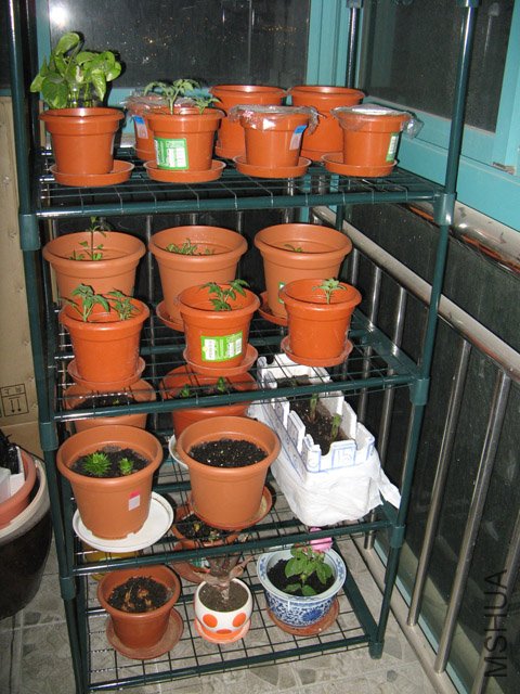 �Ѿ����˻���Ļ���