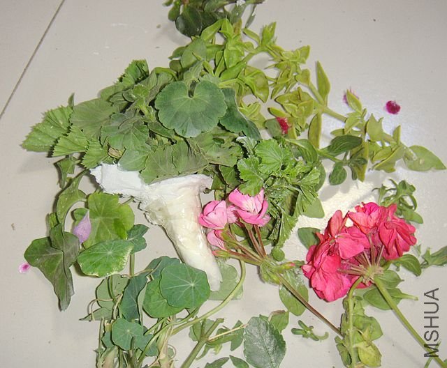 DSC00829.JPG