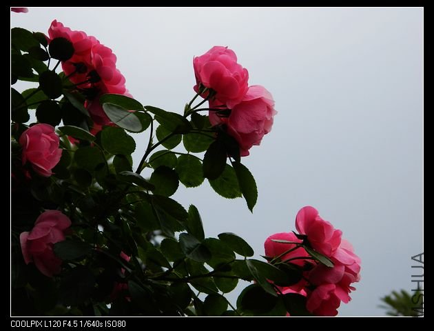 nEO_IMG_���� 419.jpg