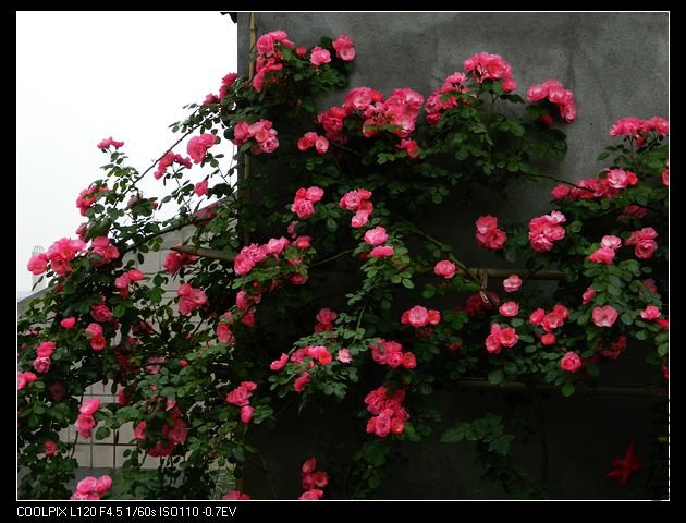 nEO_IMG_���� 341.jpg