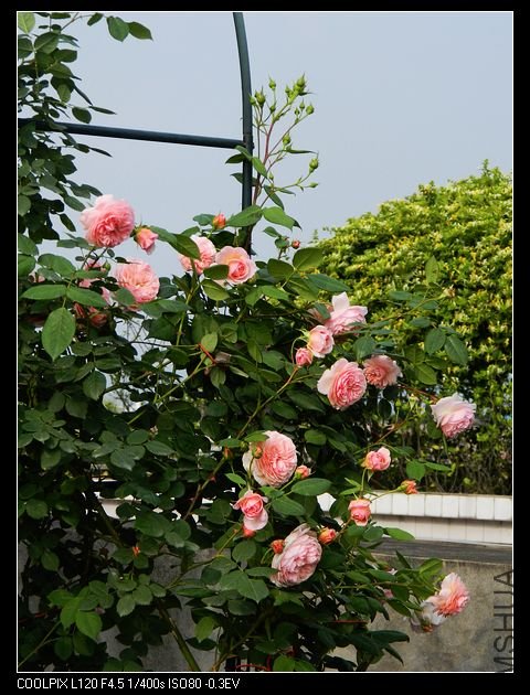 nEO_IMG_���� 430.jpg