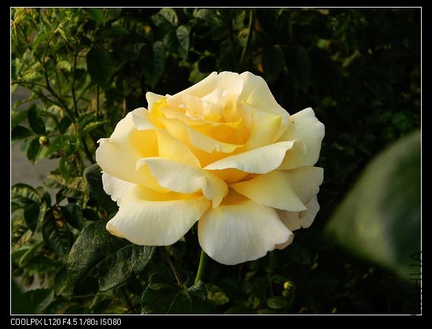 nEO_IMG_���� 062.jpg