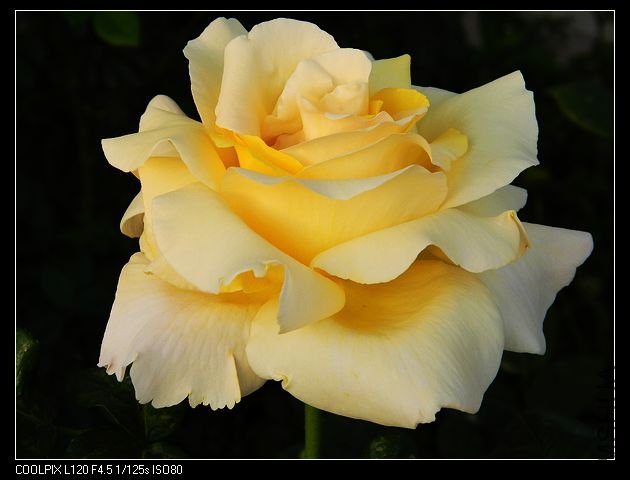 nEO_IMG_���� 059.jpg