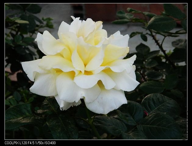 nEO_IMG_���� 122.jpg