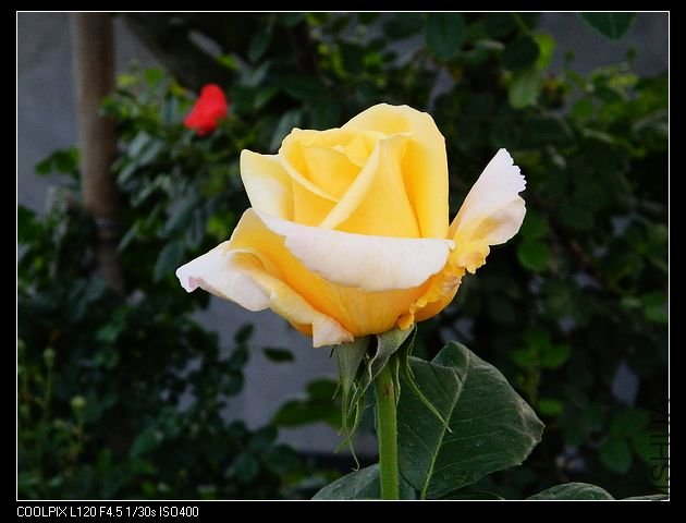 nEO_IMG_���� 124.jpg